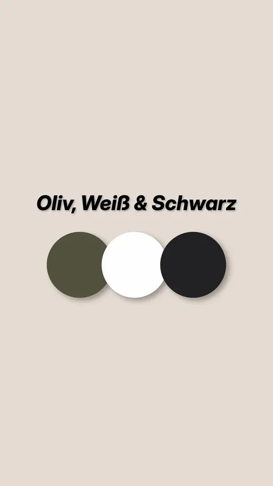 Paletten-Slide zu Look 1: drei Farbkreise, Oliv, Weiß und Schwarz