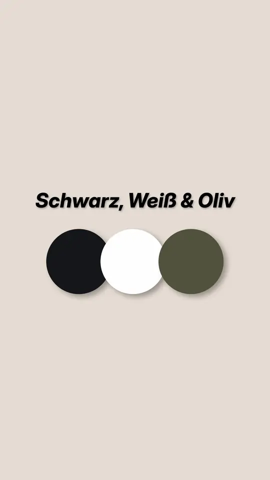 Paletten-Slide zu Look 2: drei Farbkreise, Schwarz, Weiß und Oliv